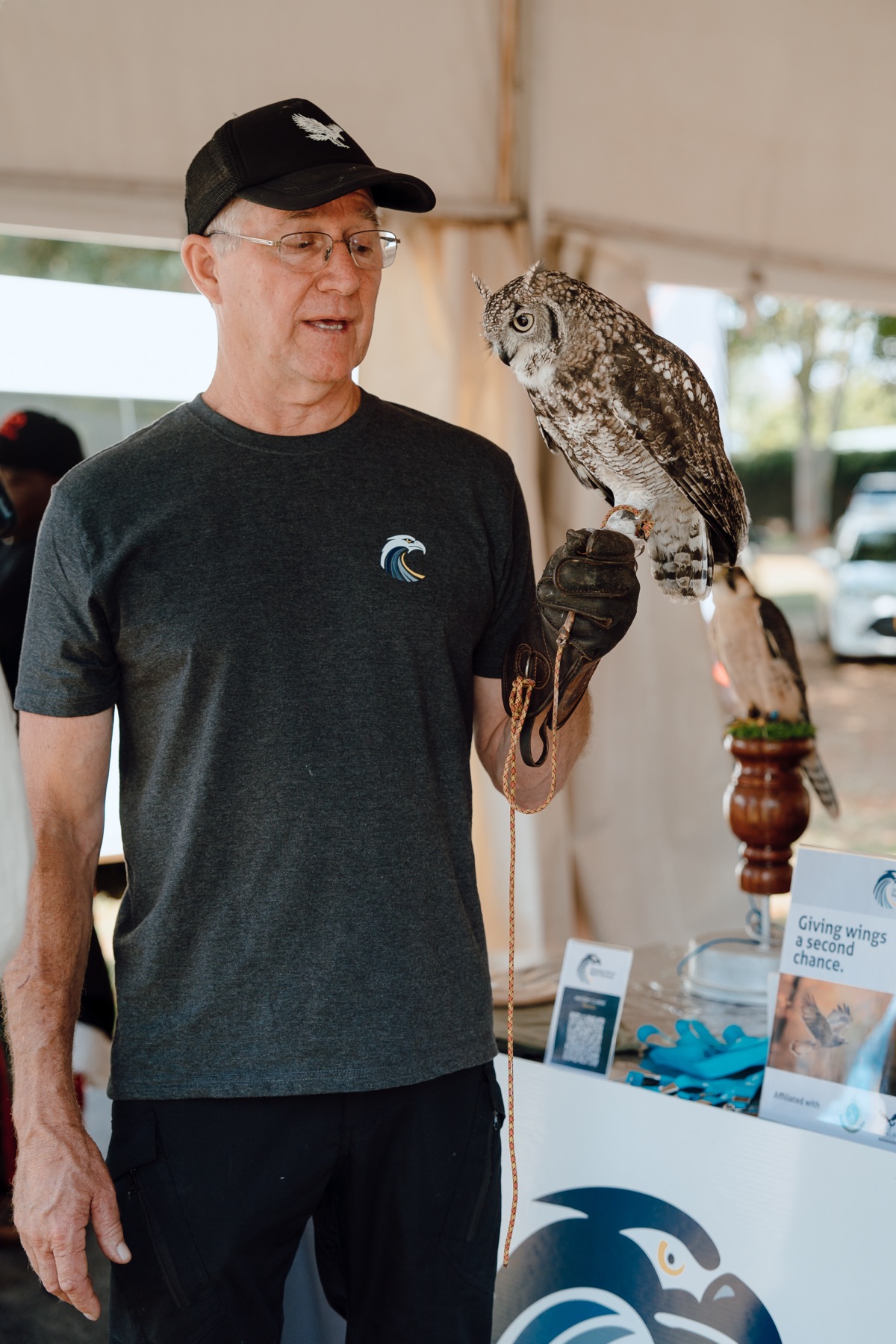 Raptor conservation